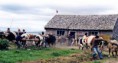 /album/cuarto-r-chiloe/d-029-minga-tiradura-de-casa-jpg/